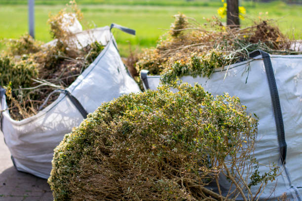 Best Basement Cleanout Services  in Lititz, PA